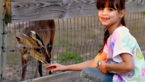 tgr where to see animals in houston 